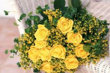 10 Roses Bunch