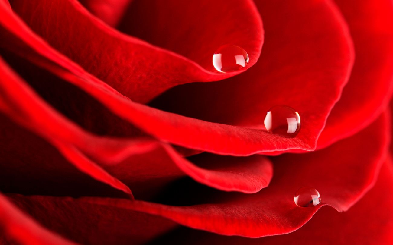 Drops