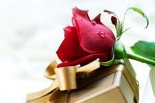 Gift