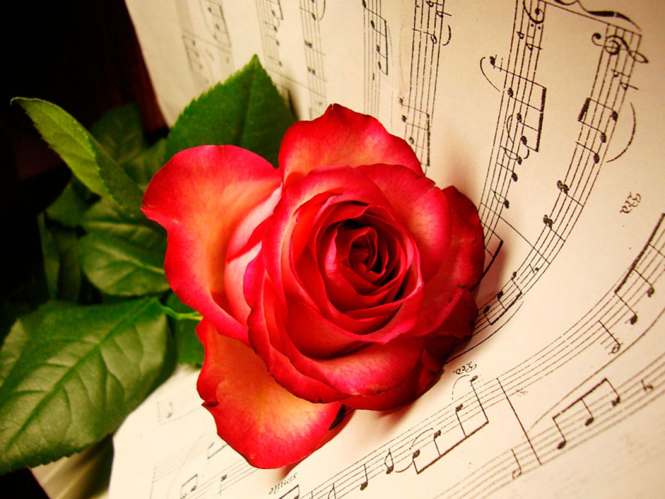 Musical Notes