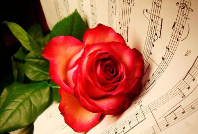 Musical Notes