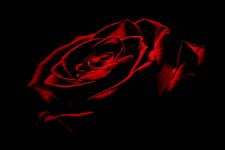 Very Dark