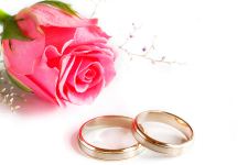 Wedding Rings